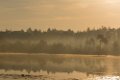 2018-10-06 Zonsopkomst Oisterwijkse Vennen en Plassen